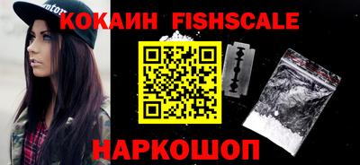 индика Новодвинск