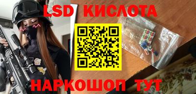 индика Новодвинск