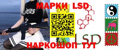 индика Новодвинск