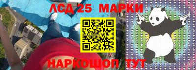 индика Новодвинск