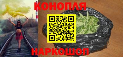 индика Новодвинск