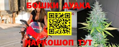 индика Новодвинск
