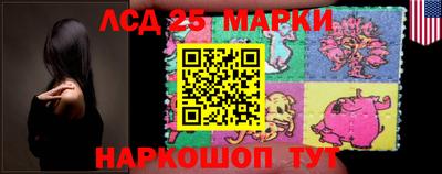 индика Новодвинск