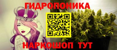 дурь Новозыбков