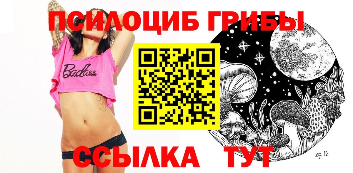 Псилоцибиновые грибы Psilocybe  Псилоцибиновые грибы Cubensis  Троицк  Вход с VPN 